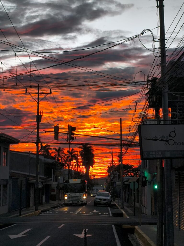 fff5463f-f5fa-4365-a5c9-8aa2ecc51155